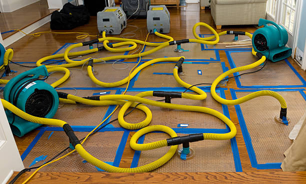 Professional Water Extraction technician working in Woodland, WI